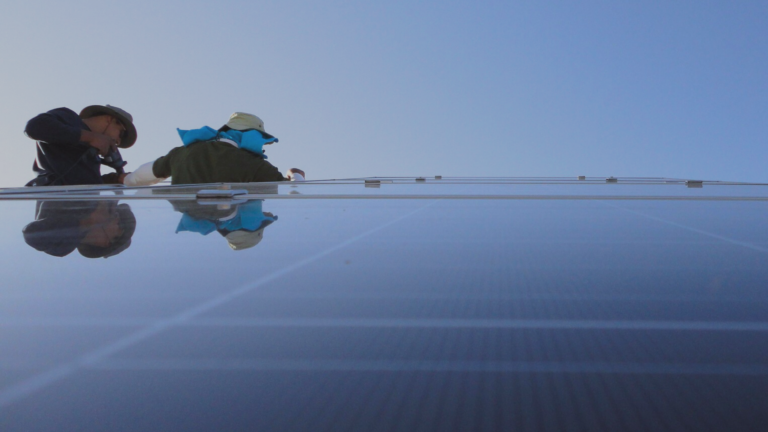 How Businesses Can Capitalize on California’s Renewable Portfolio Standard