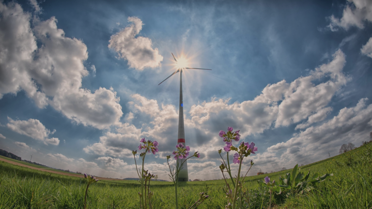 Global Renewable Growth Strengthens Amid U.S. Policy Uncertainty