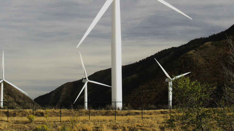 US Removes Renewable From National Lab Name: Signals a Shift in Energy Research