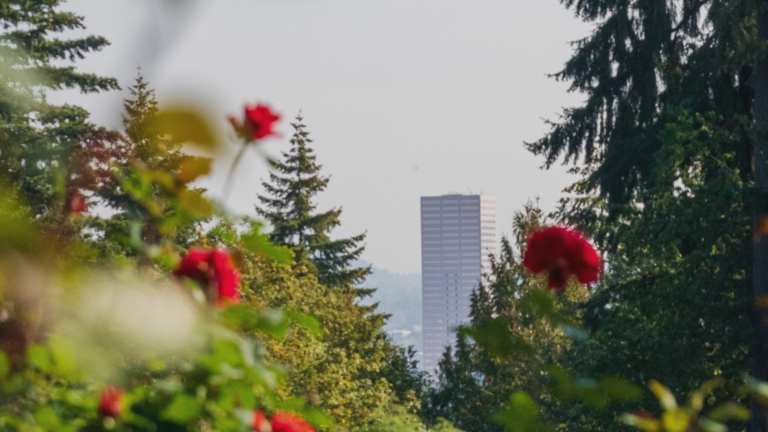 Oregon Fast Tracks Clean Energy Approvals With New Executive Order