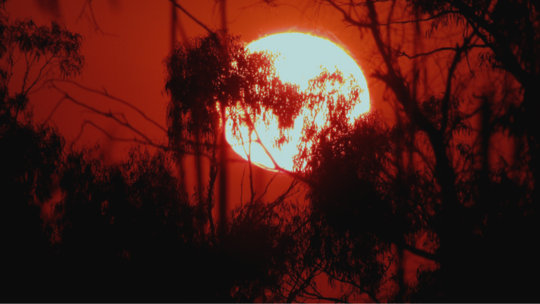 What the US Heatwave Means for Commercial Energy Management